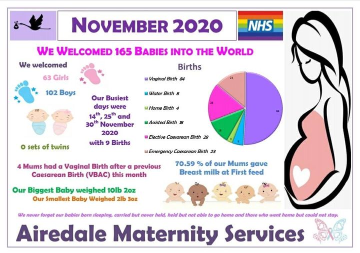 airedale birth stats