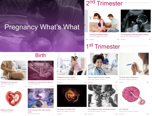 -Pregnancy What’s What-